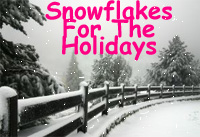 holidays greeting video